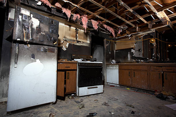 Affordable Fire Damage Repair solutions in Laurel, MD